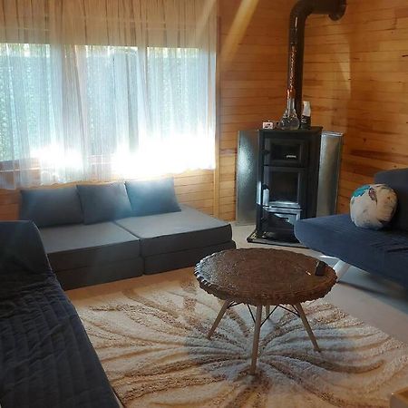 Silenos Bungalow Stone House 科尼亚 外观 照片