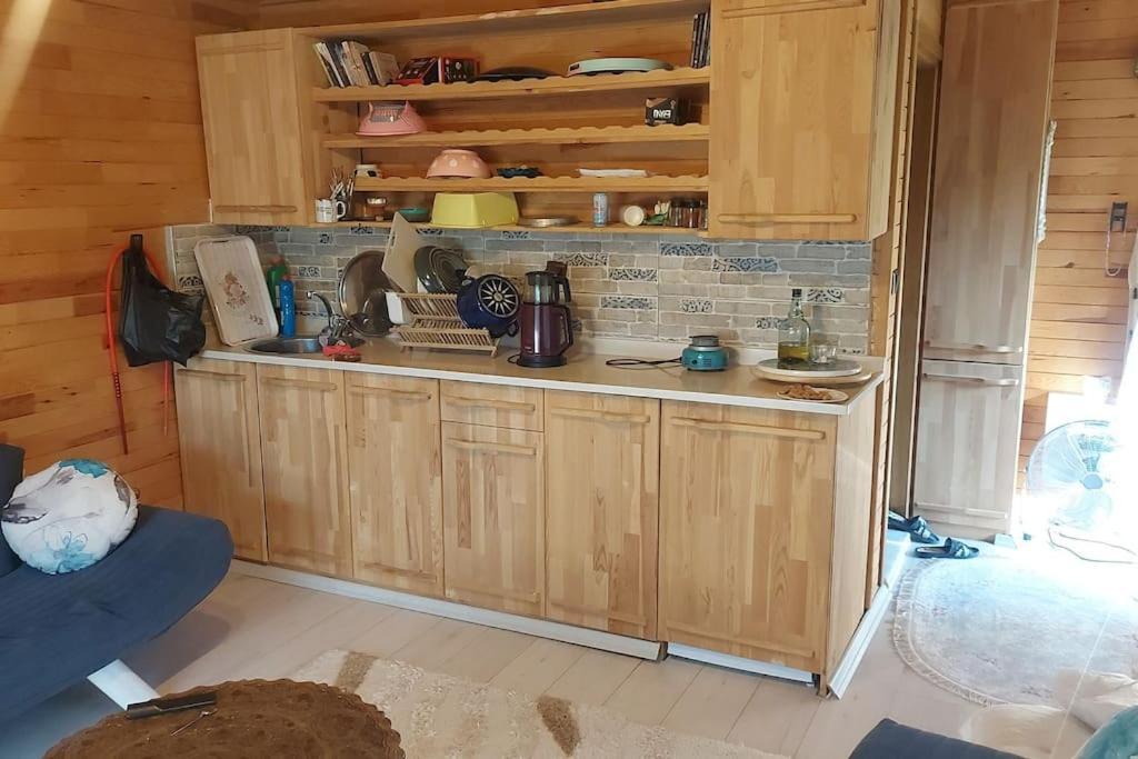 Silenos Bungalow Stone House 科尼亚 外观 照片