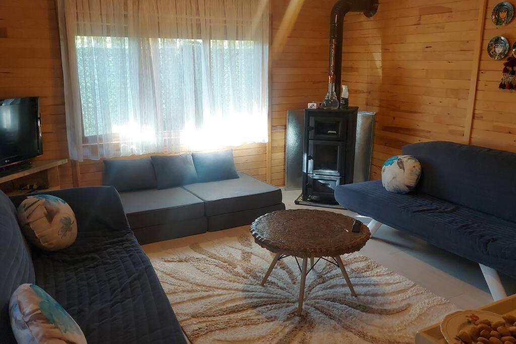 Silenos Bungalow Stone House 科尼亚 外观 照片