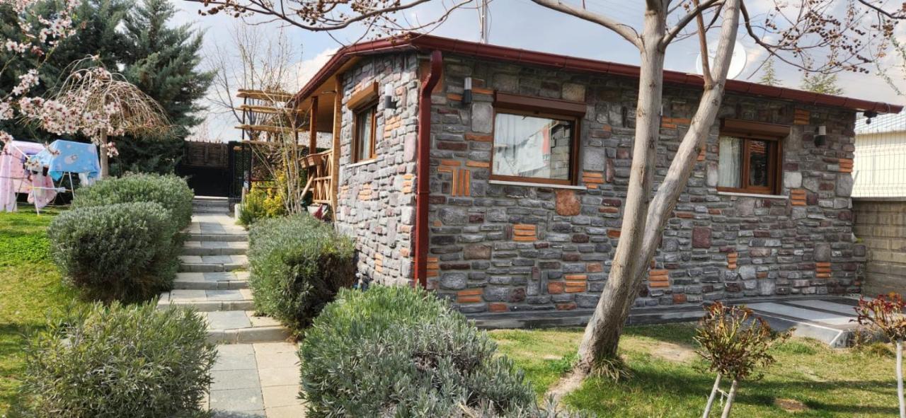 Silenos Bungalow Stone House 科尼亚 外观 照片