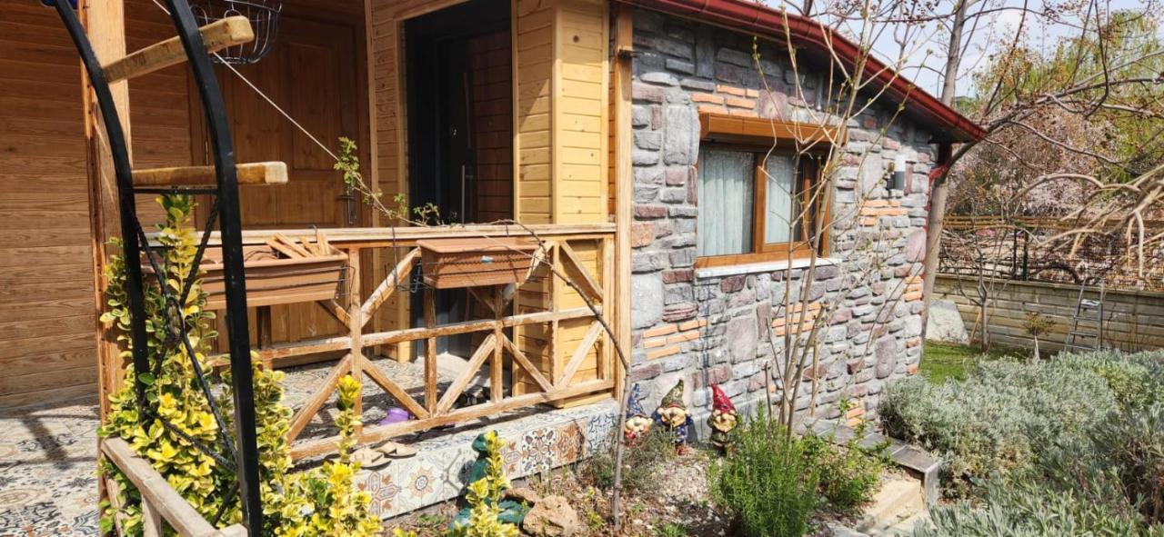 Silenos Bungalow Stone House 科尼亚 外观 照片